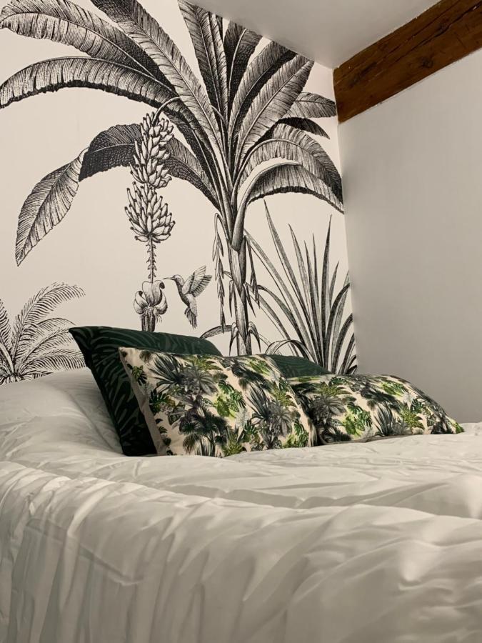 Appartement Cosy Centre Historique アヴィニョン エクステリア 写真
